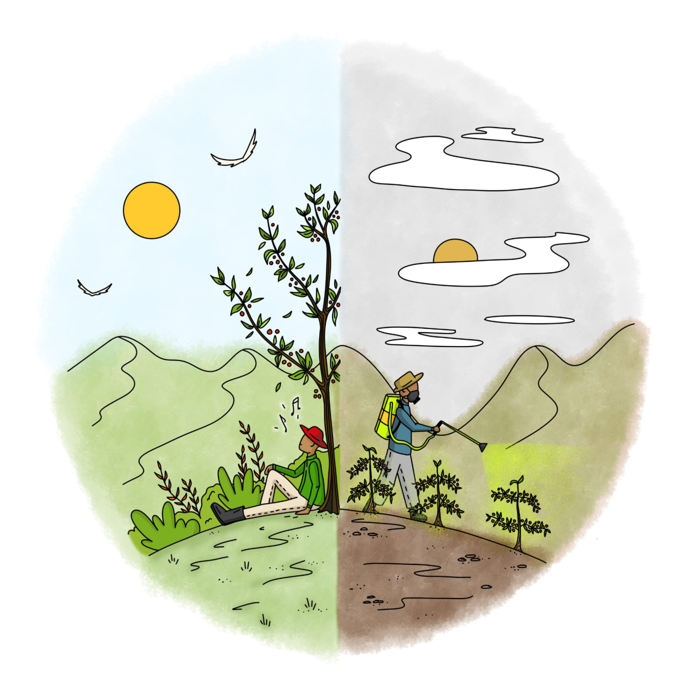 Bio et puis quoi encore Café Tchololo Bio et puis quoi encore